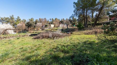 Foto 5 de Residencial en venta en Ambite, Madrid