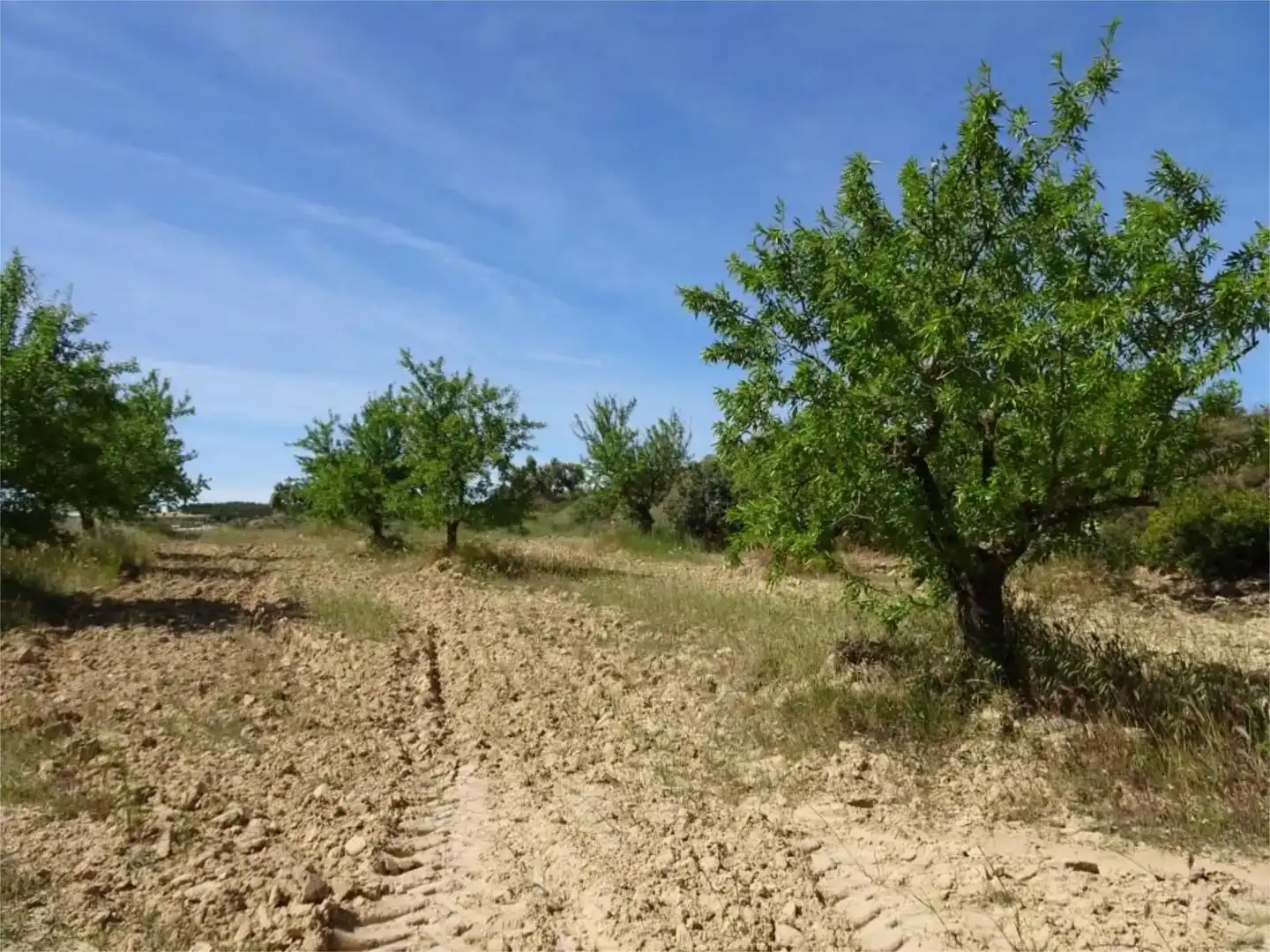 Land for sale in Batea