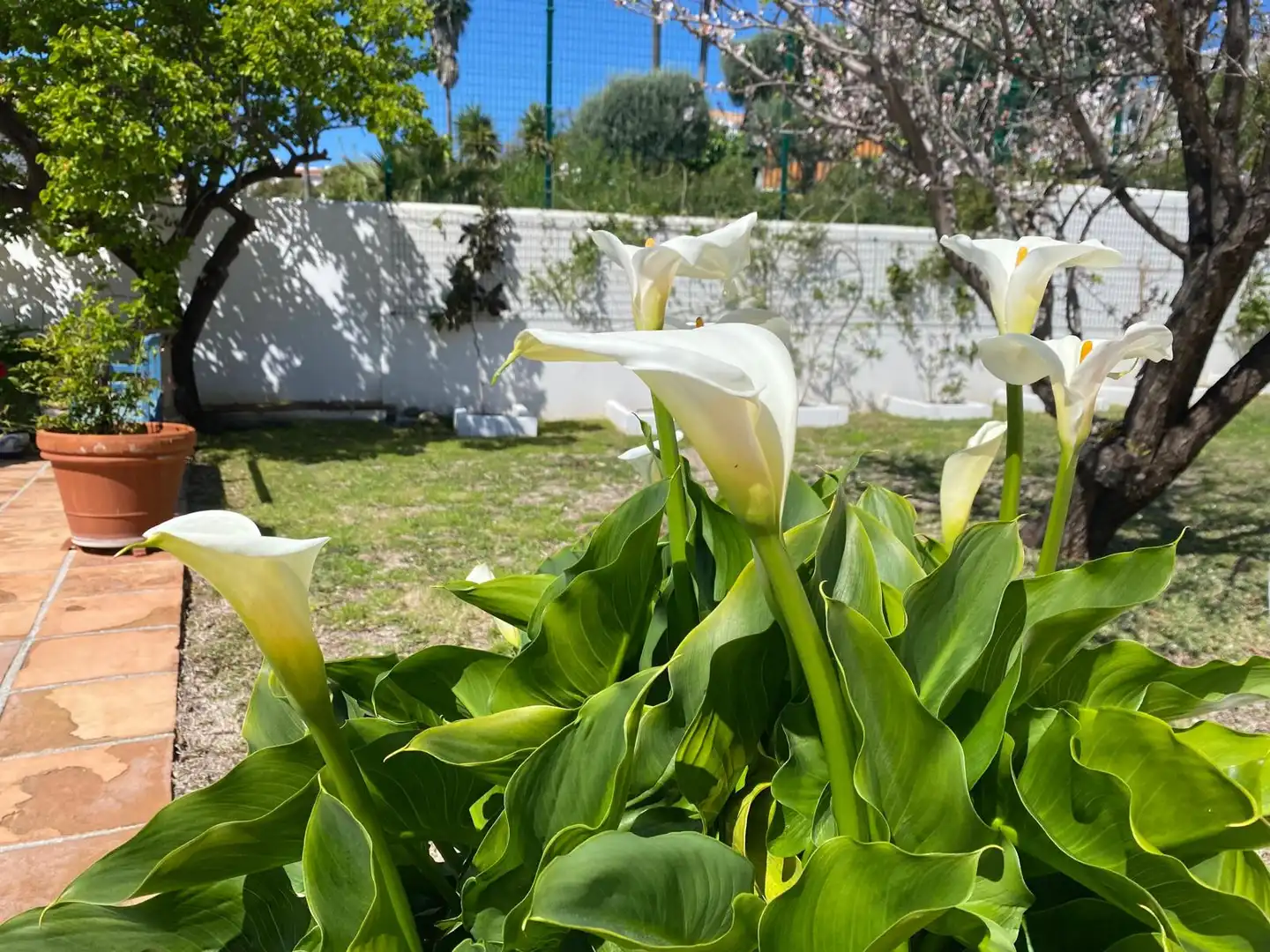 Casa amb piscina en venda a Selwo, imagen 41
