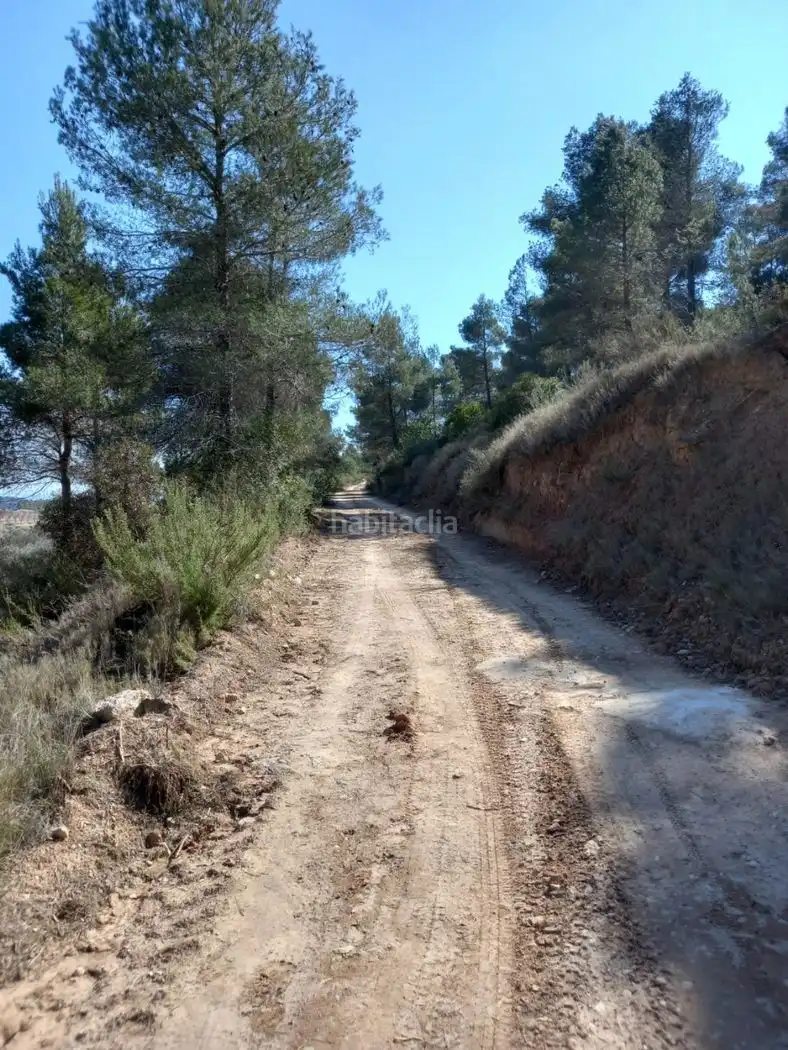 Rustikales Grundstück zum Verkauf in Carrer de l'Església 35, imagen 16