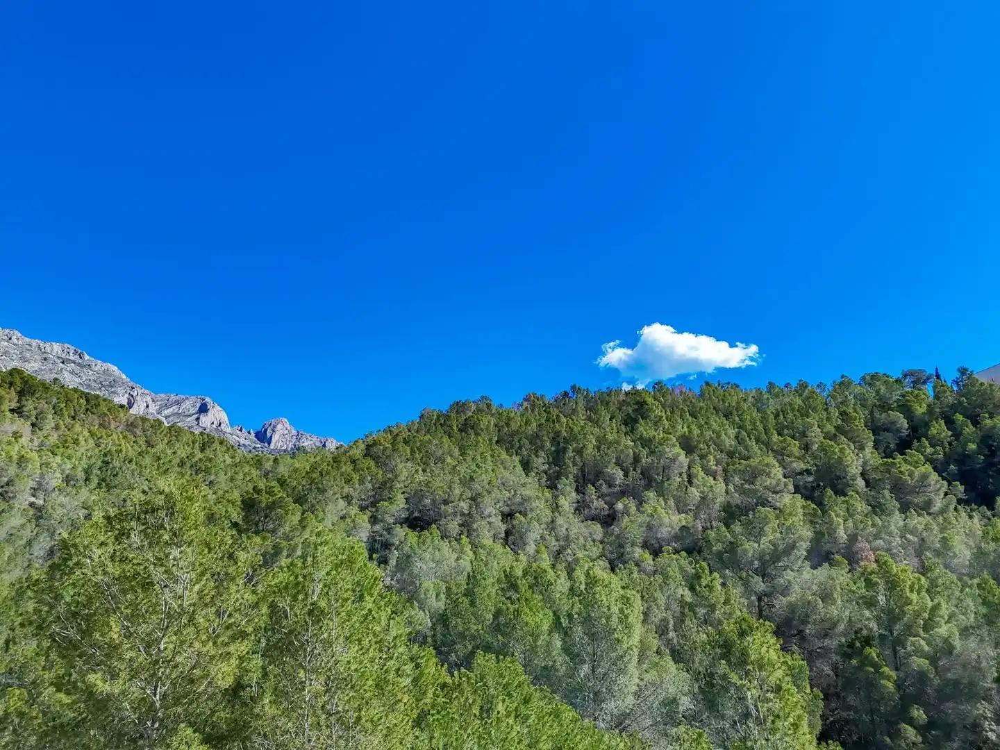 Terrenys i solars en venda a Callosa d'en Sarrià, imagen 8