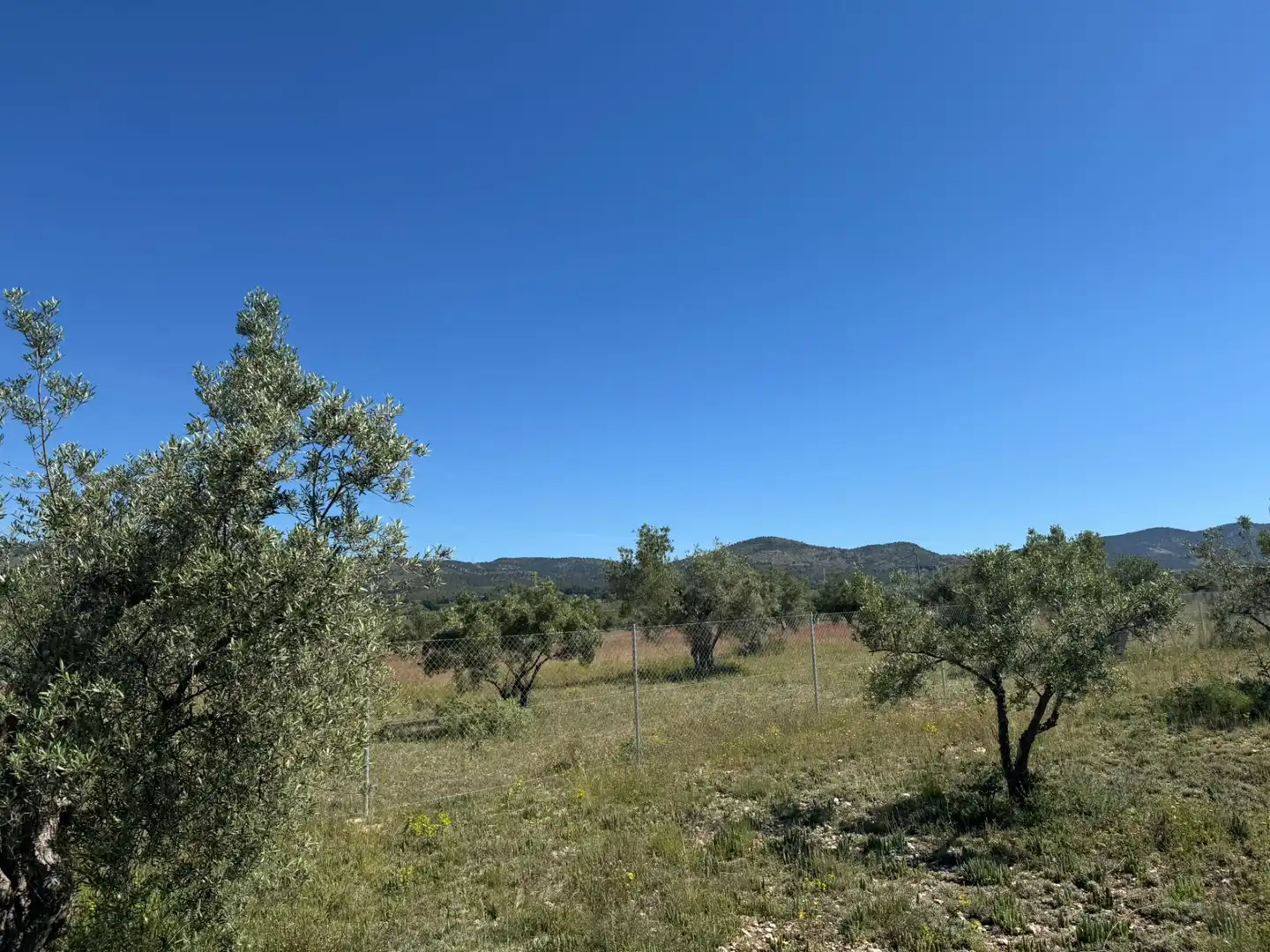 Terreny rústic en venda a Onil, imagen 6