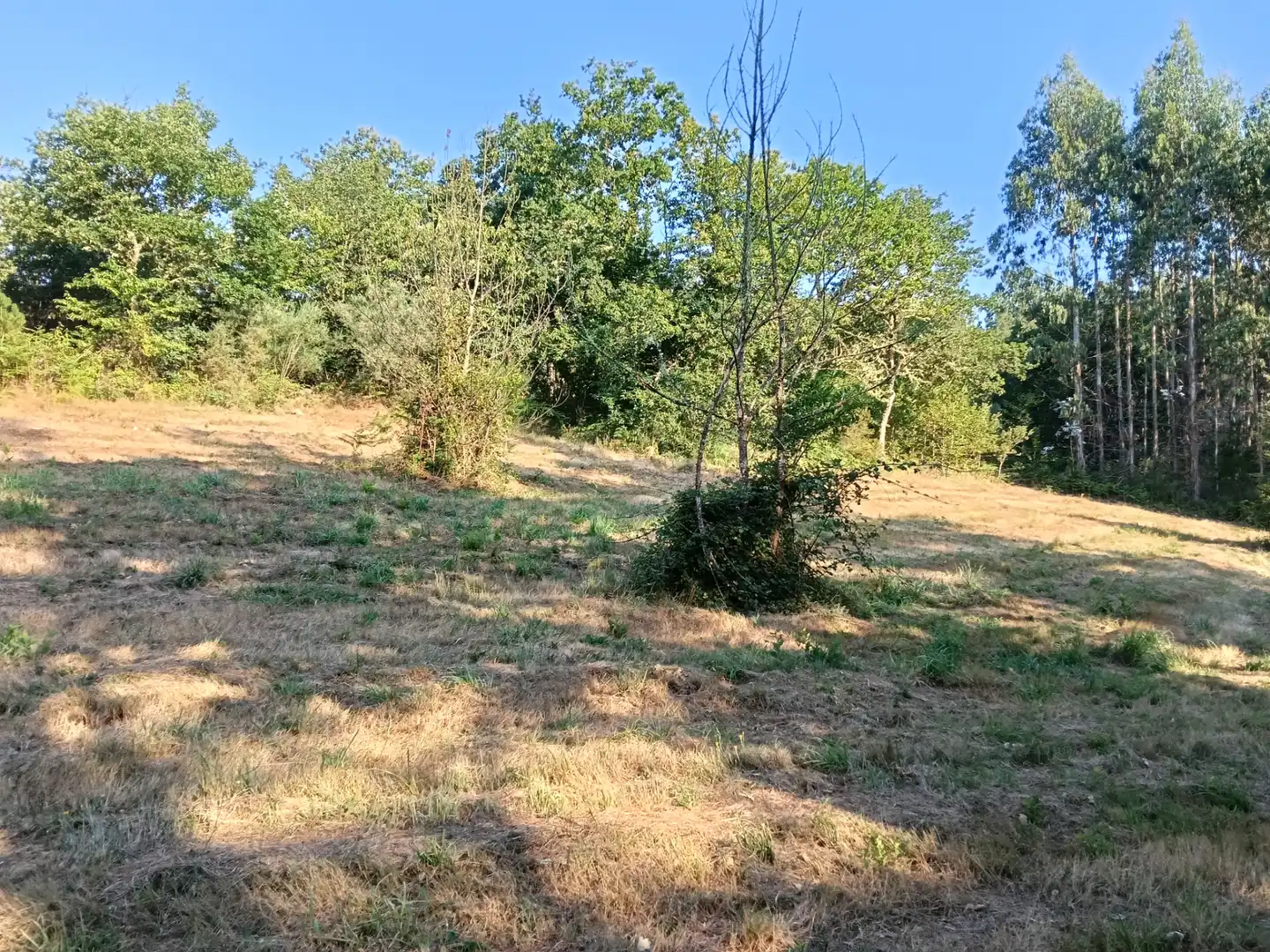 Haus mit Garten zum Verkauf in Carretera de Sambreixo, imagen 7