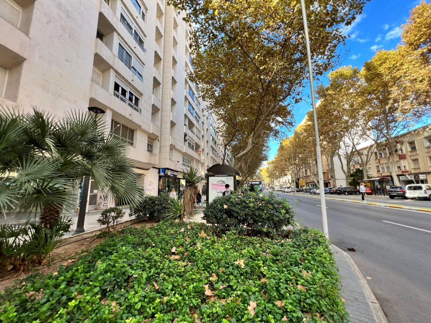 Exterior view of Office for sale in Cartagena