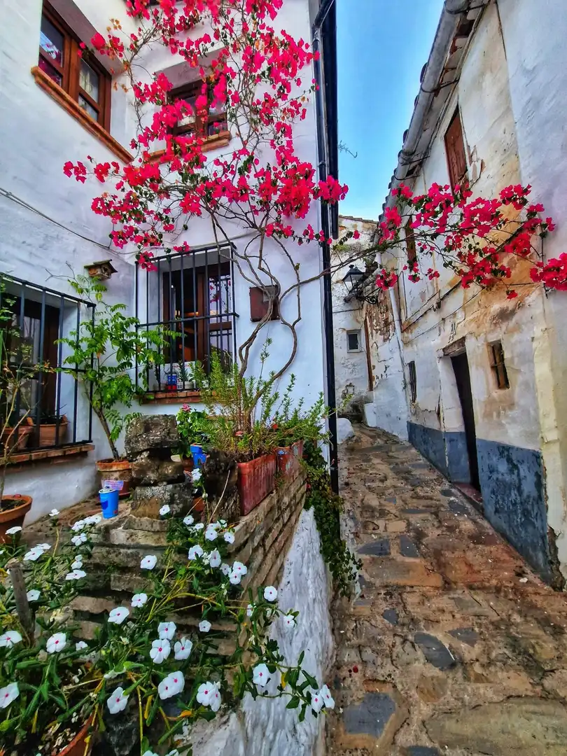 Casa en venta en Ubrique, imagen 3
