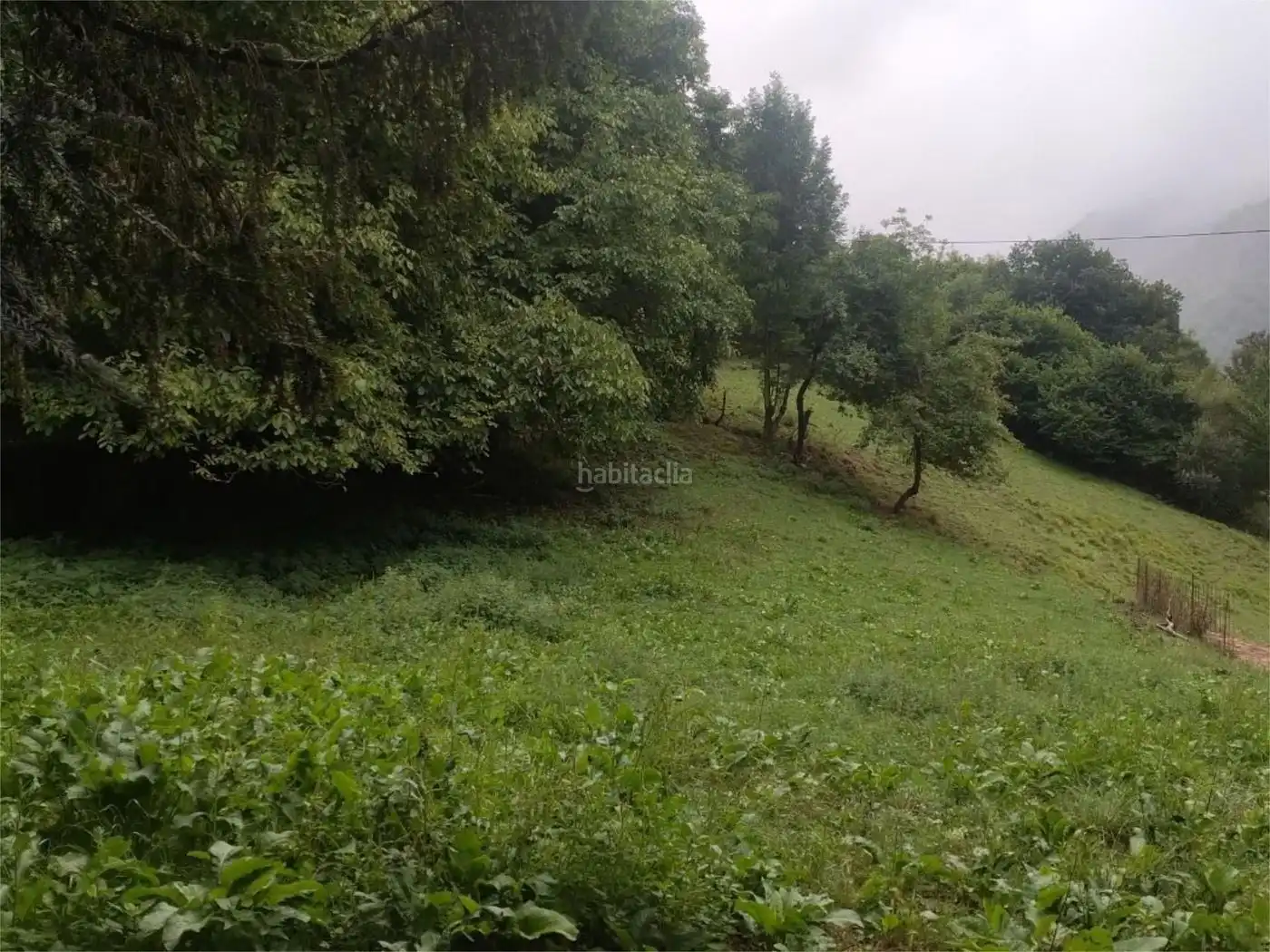 Maison à vendre à Lugar Pigueña 97A, imagen 6