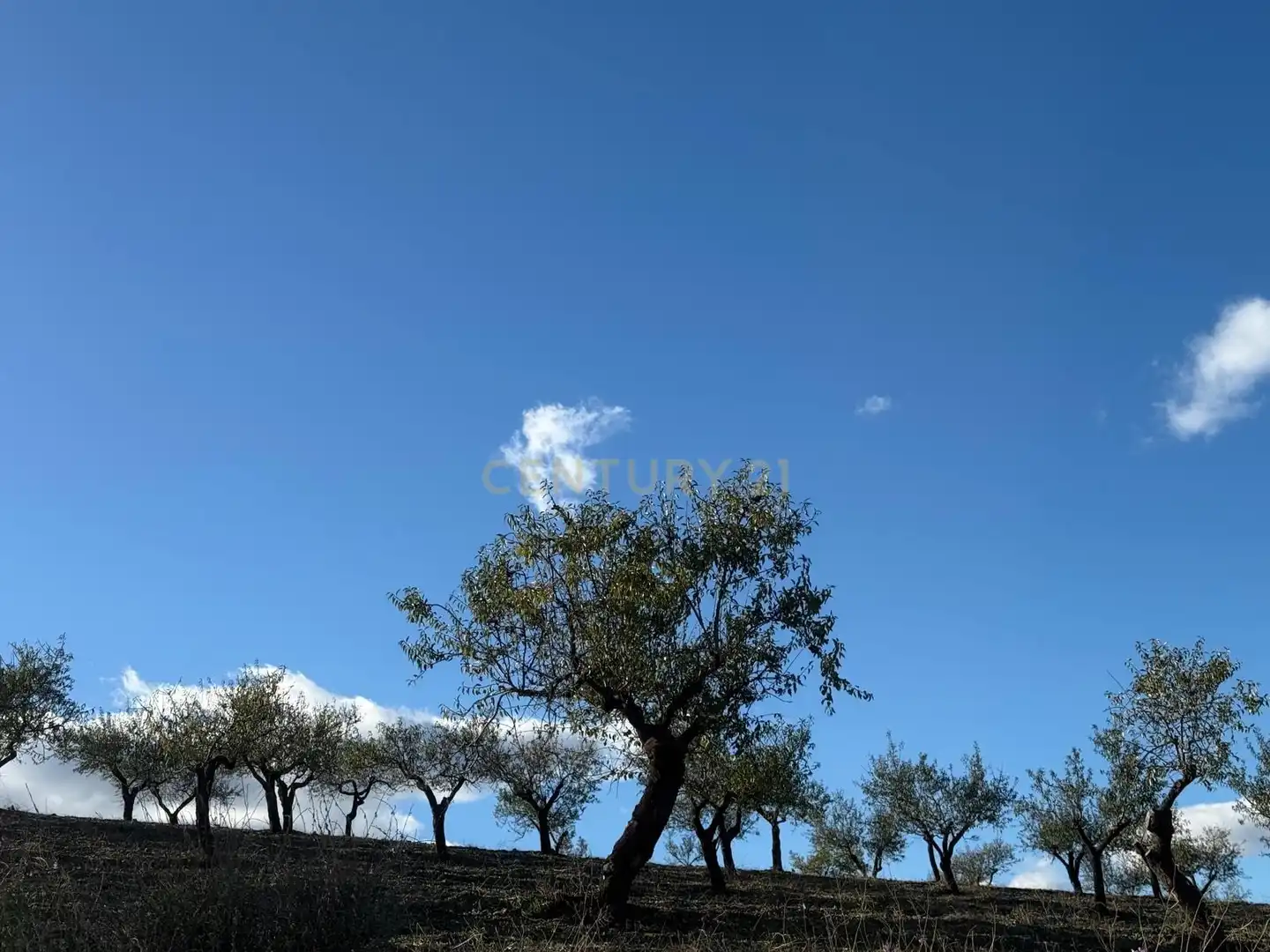 Rustikales Grundstück zum Verkauf in BR RAMB-BANCALEJOVELEZ-RUBIO (ALMERÍA), imagen 4