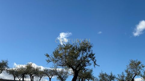 Terrenos de Inversión en la Naturaleza Almeriense!, immagine 4
