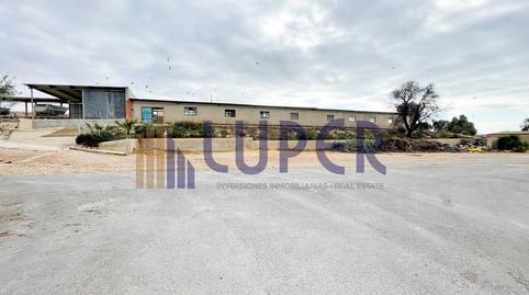 Foto 3 de Finca rústica en venta en Pla de la Vallonga, Alicante