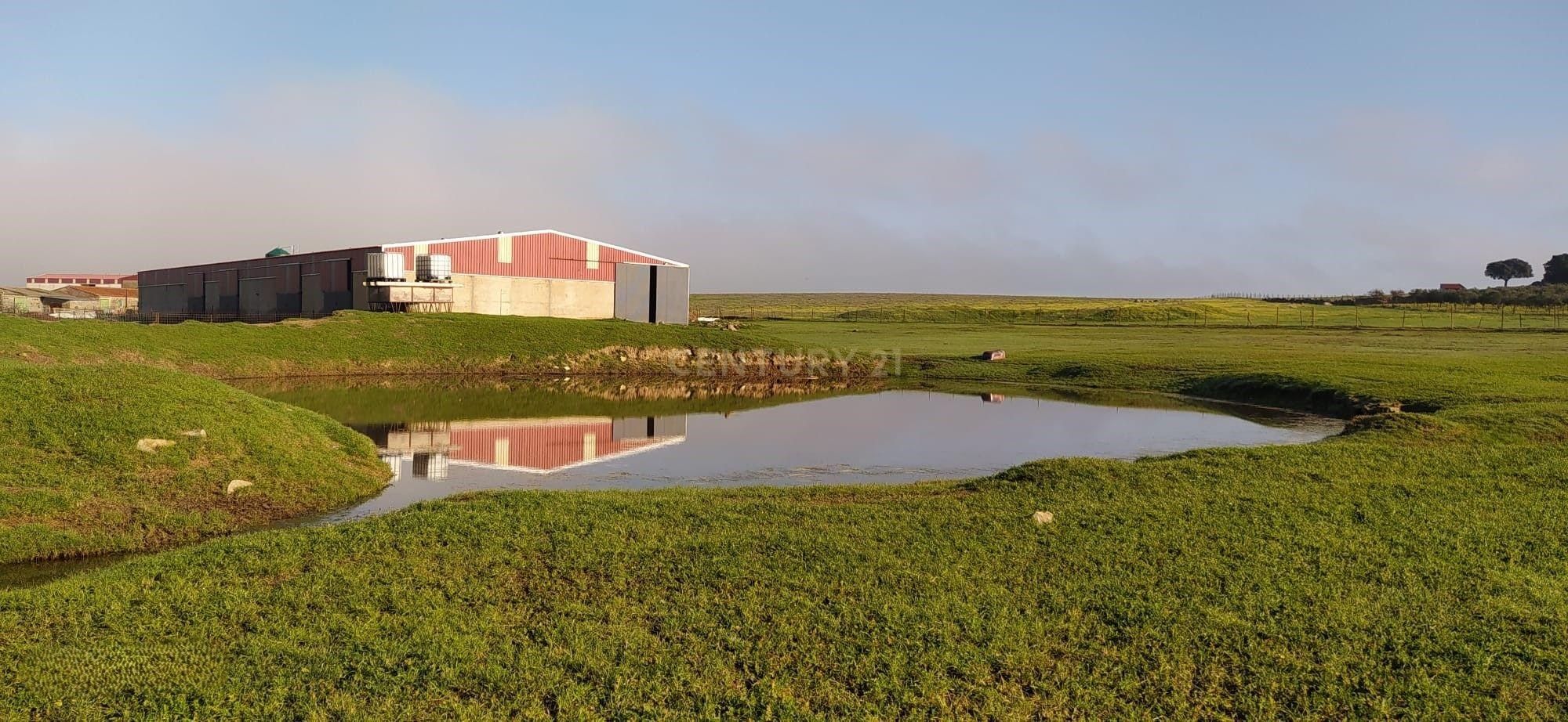 Exterior view of Country house for sale in Brozas