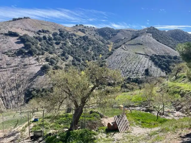 Terreni e lotti in vendita a Murtas, imagen 23