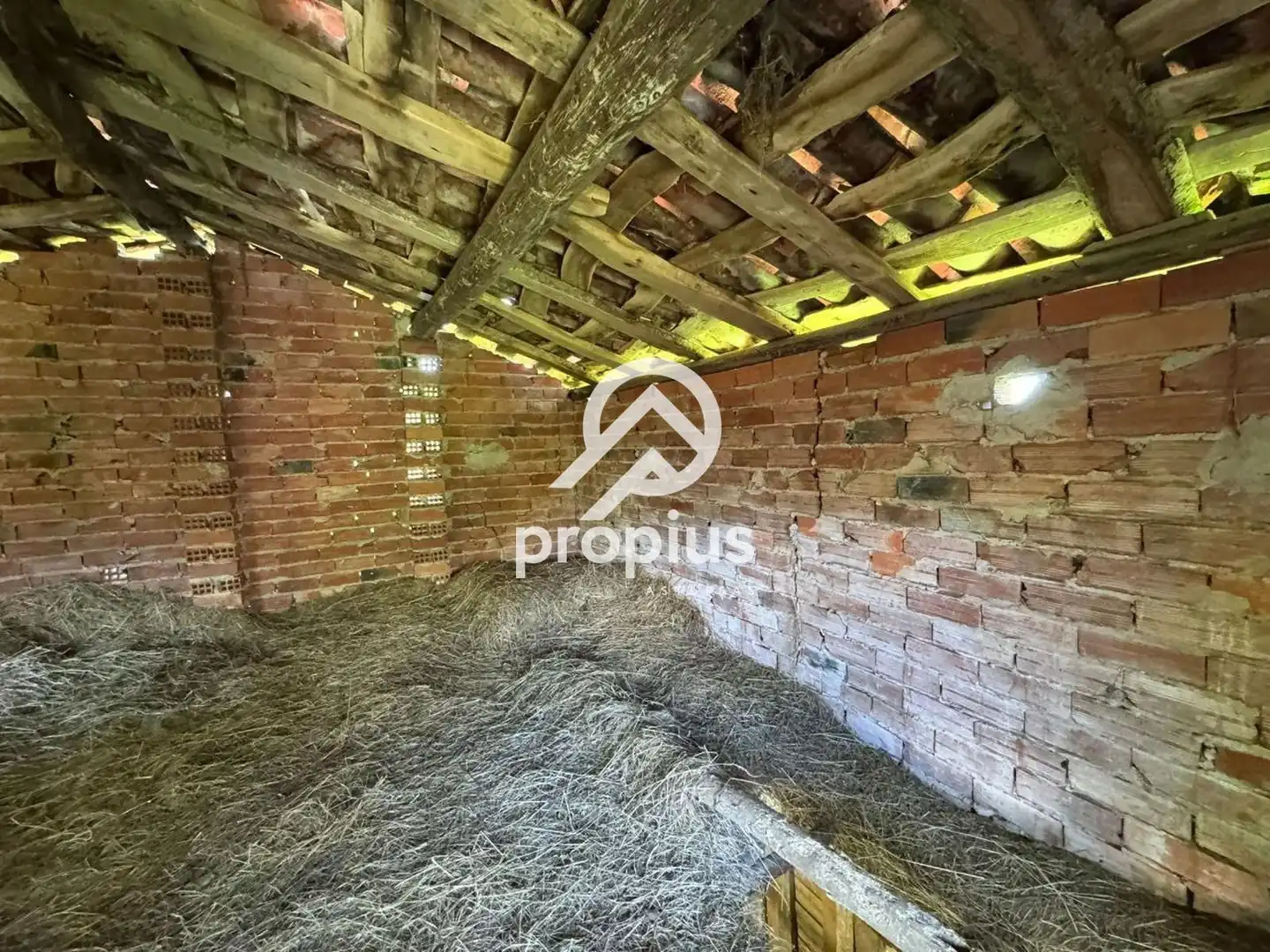 Rural land for sale in ARRIONDAS, imagen 10