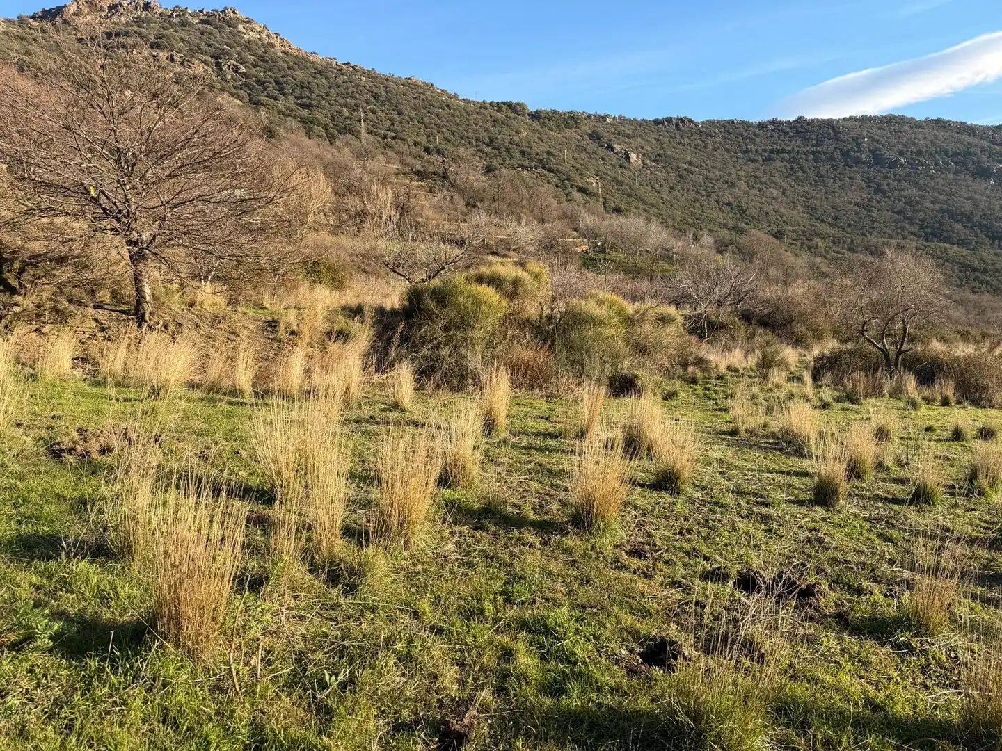 Rural land for sale in Bubión, imagen 10
