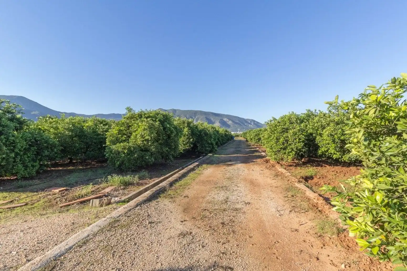 Terrain rustique à vendre à Benifairó de la Valldigna - HORTA, imagen 24