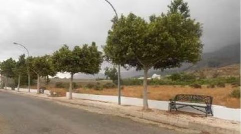 Immagine 2 dell'annuncio