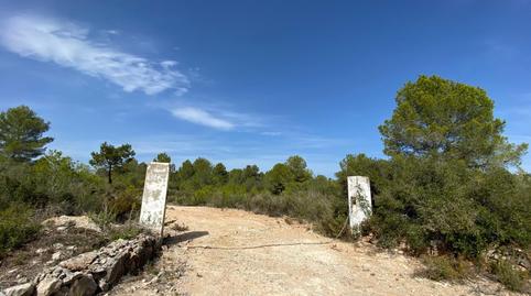 Foto 4 de Finca rústica en venta en Chella, Valencia