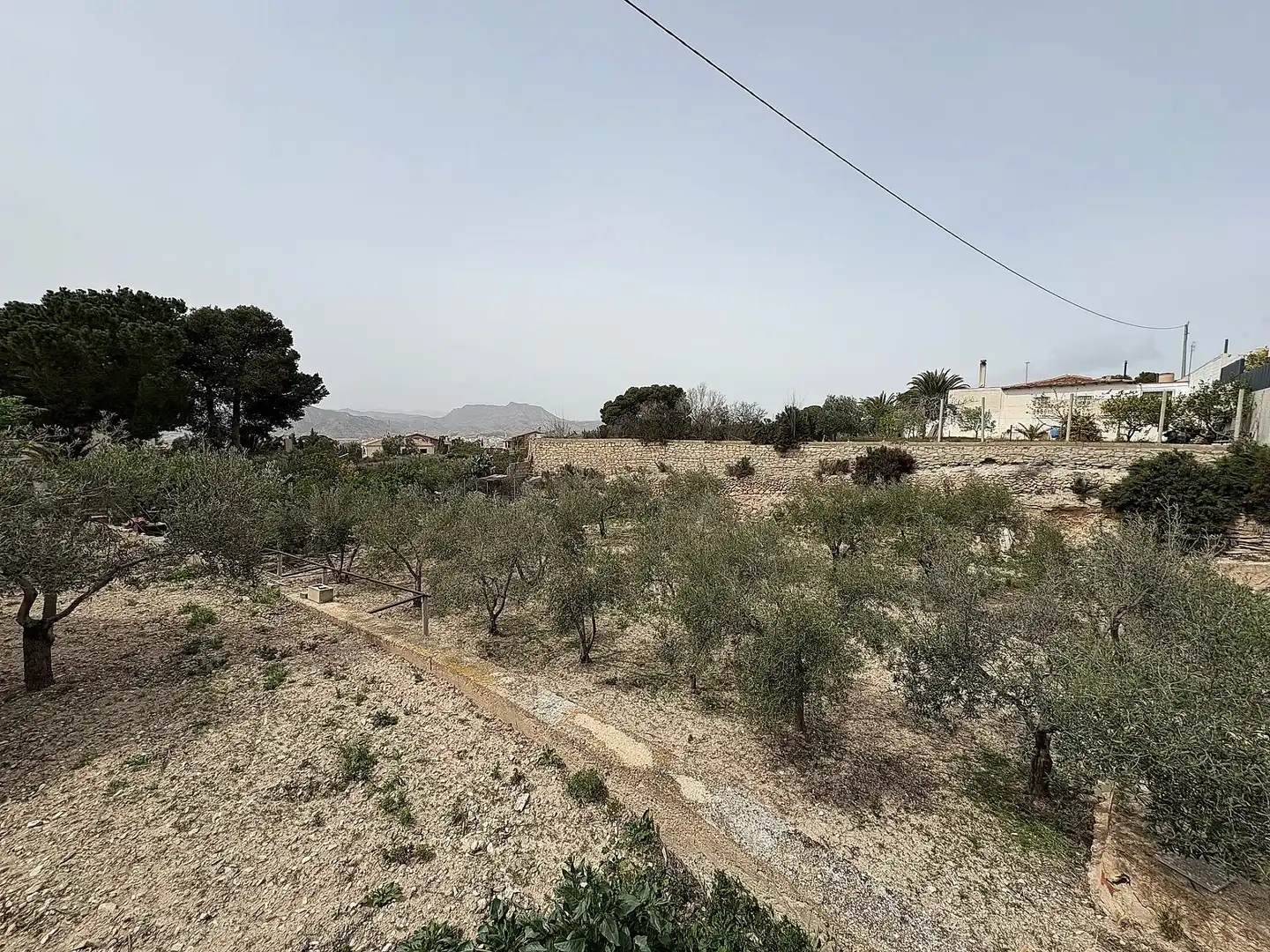 Finca rústica en venta en Petrer