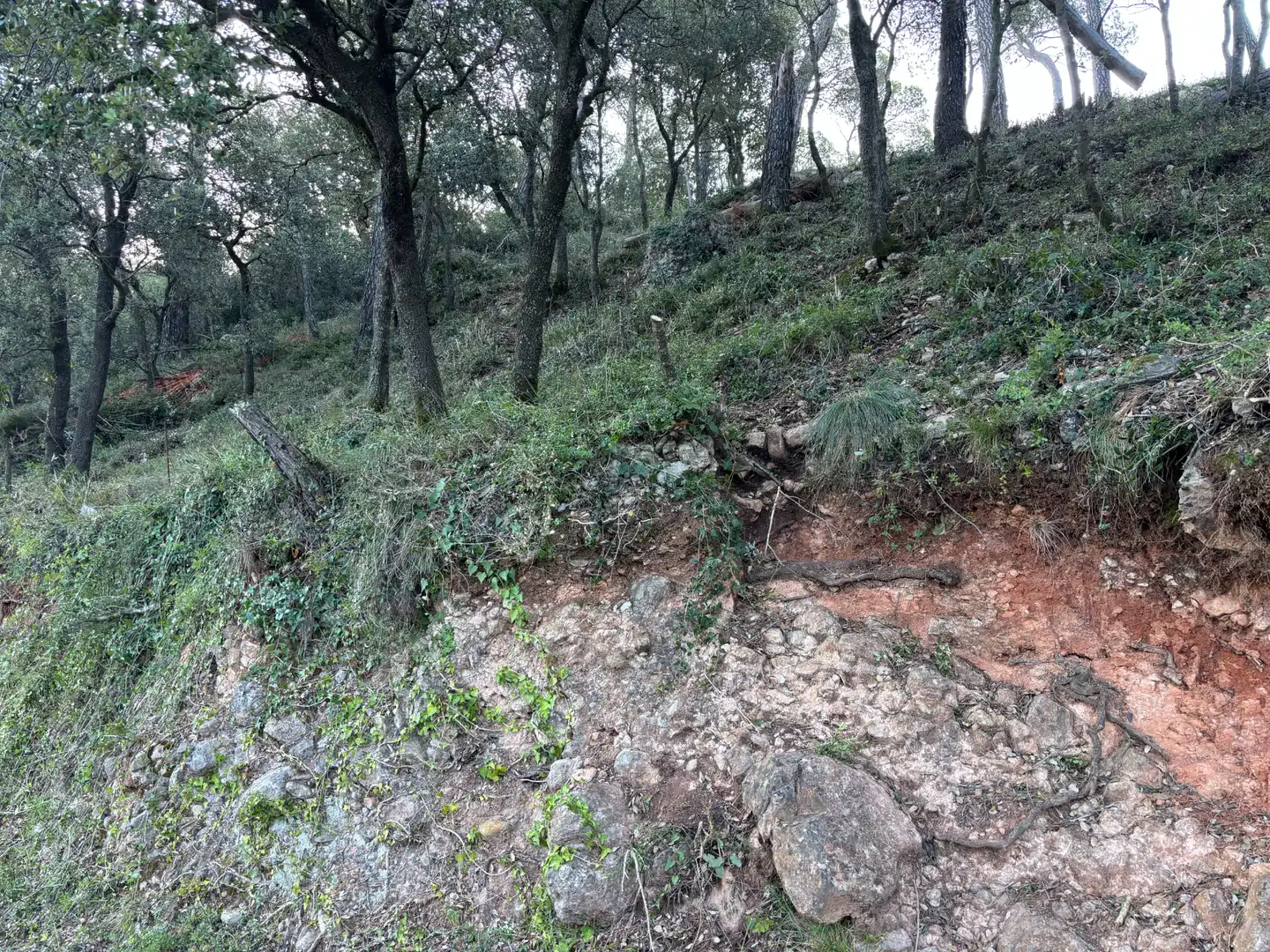 Residential land for sale in Carrer Pasarell, imagen 3