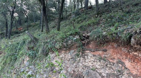Terreno urbano en El Farell (Caldes de Montbui) – 780 m² con estudios técnicos realizados, imatge 3