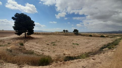 Foto 3 de Casa o xalet en venda a Diseminado Pareton, 27, Totana, Murcia