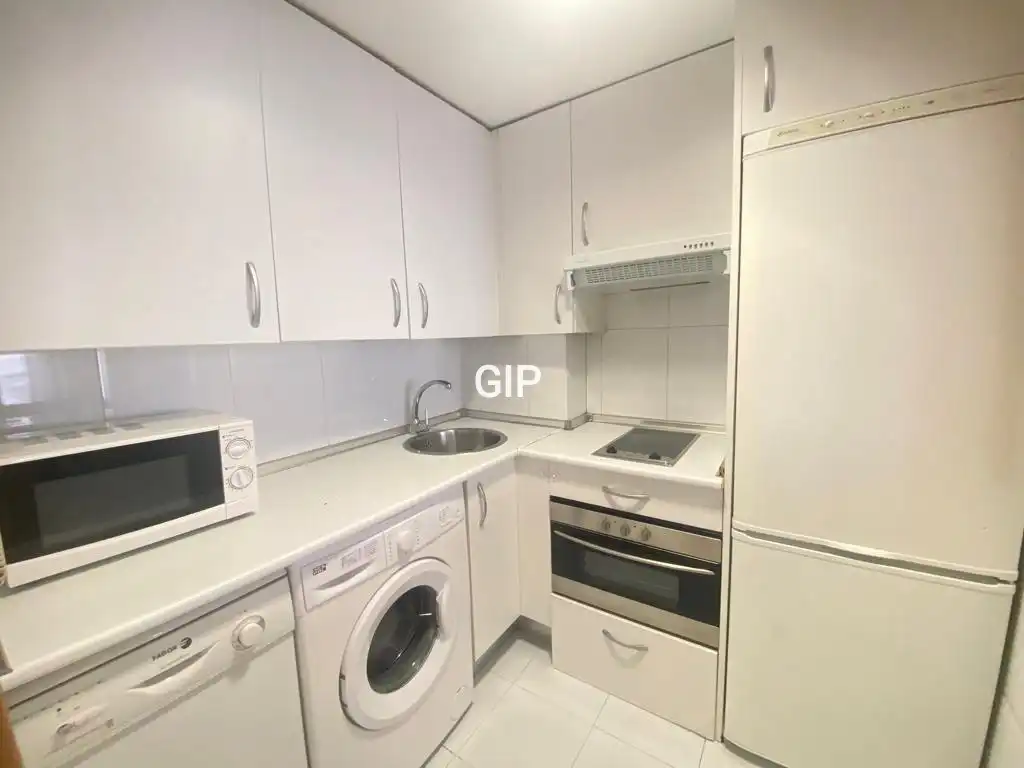 Kitchen of Apartments for rent in Madrid  with Air Conditioner, Heating and Furnished