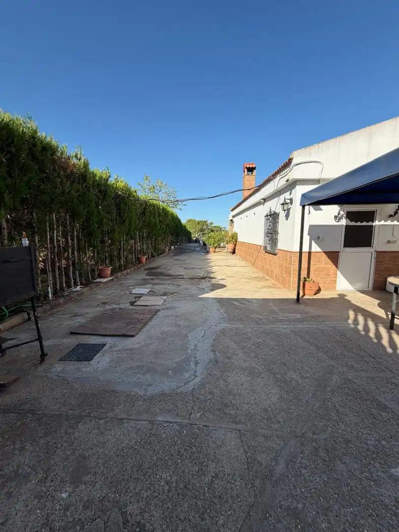 Vista exterior de Casa o chalet en venta en Mairena del Alcor con Aire acondicionado