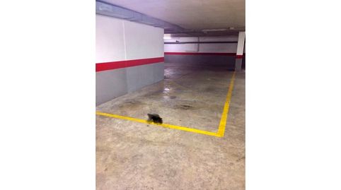 Garaje Venta Almoradí, imatge 4