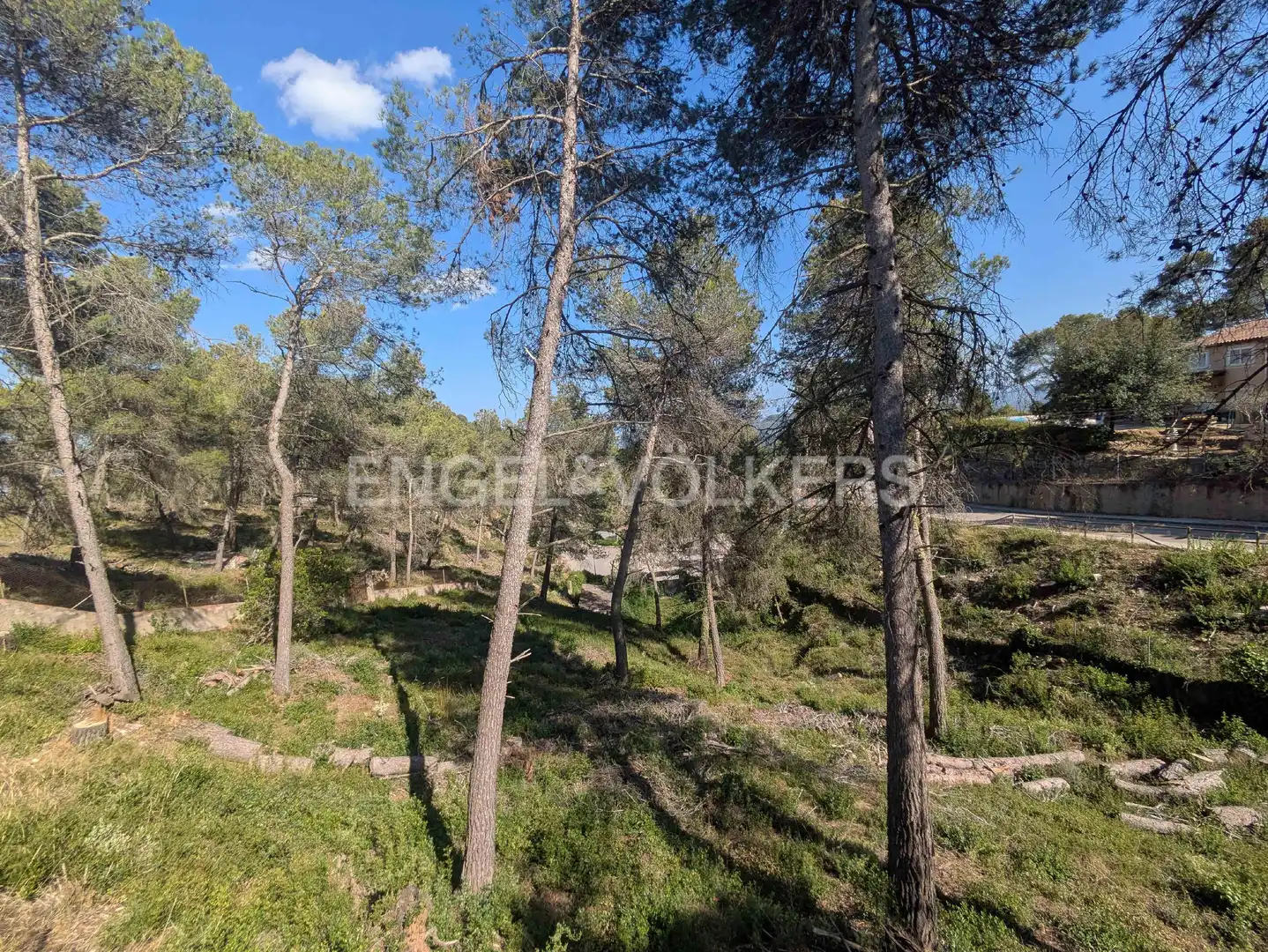 Terreny residencial en venda a Corbera de Llobregat, imagen 5
