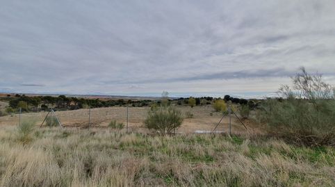 Parcela rústica 3857m² muy llana, junto carretera, vallada, pozo, proyecto agropecuario nave 70m², immagine 2