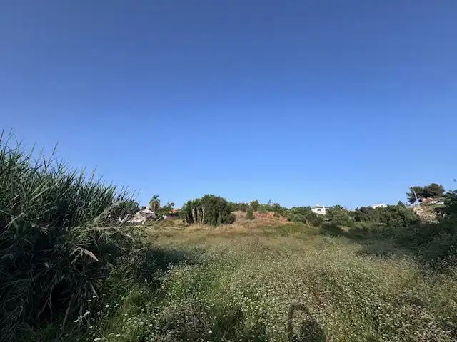 Terreny rústic en venda a San Pedro de Alcántara, imagen 4