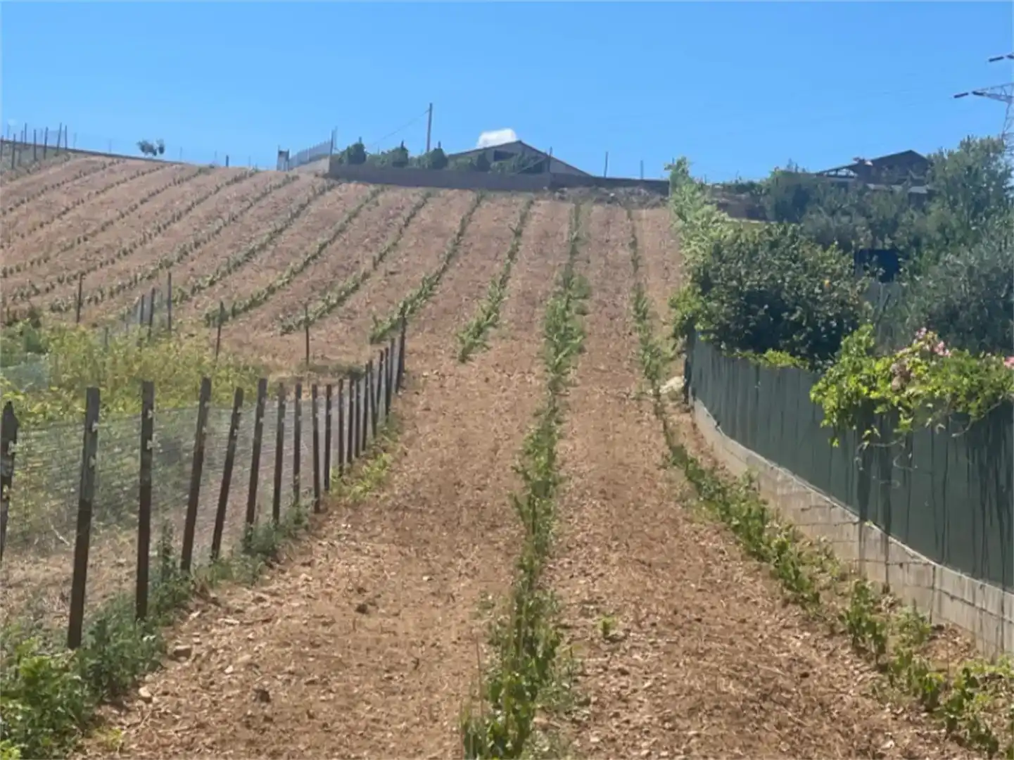 Terreno en venta en OU-0863, Petín