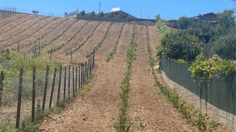Foto 5 von Grundstücke zum Verkauf in Ou-0863, Petín, Ourense