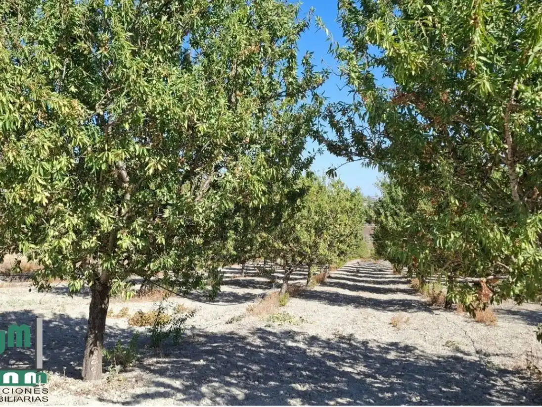 Rural land for sale in Avda. Blas Infante 33