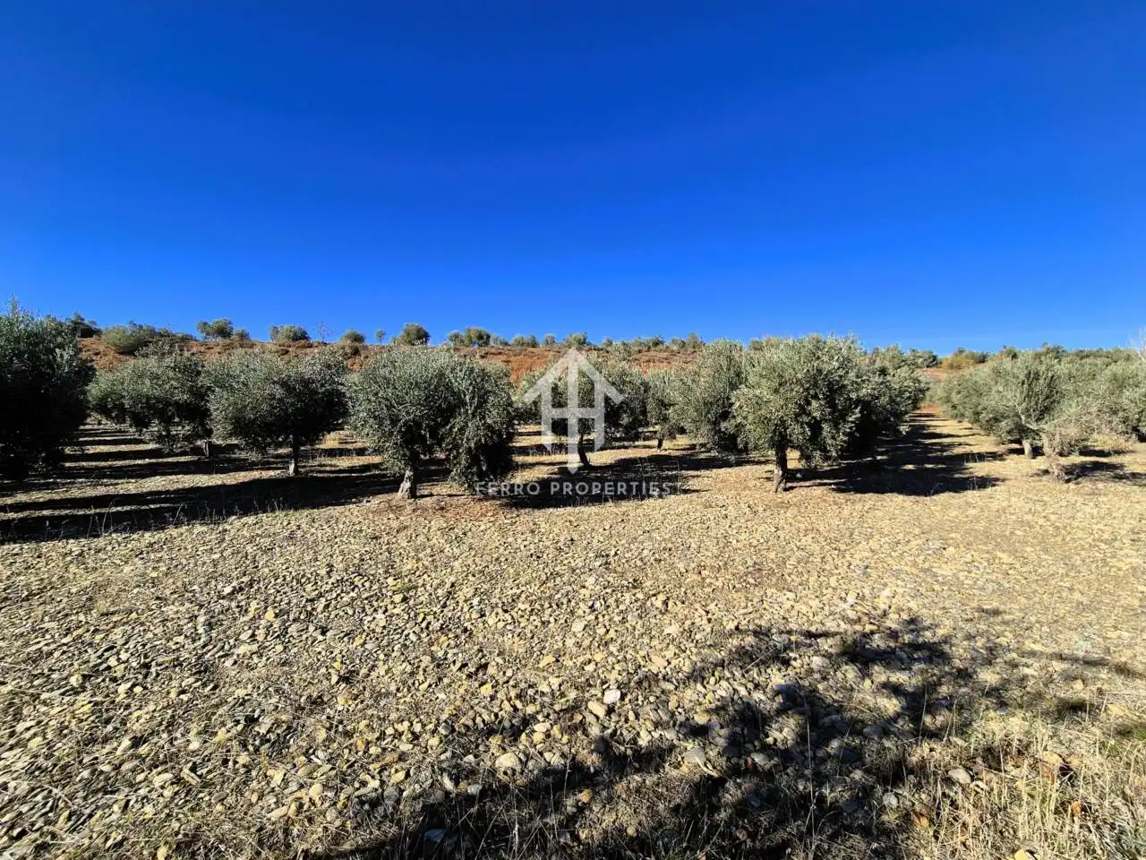 Lands and plots for sale in Lanteira, imagen 24