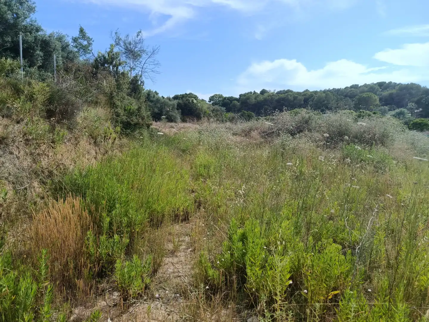 Casa o chalet en venta en Torrent