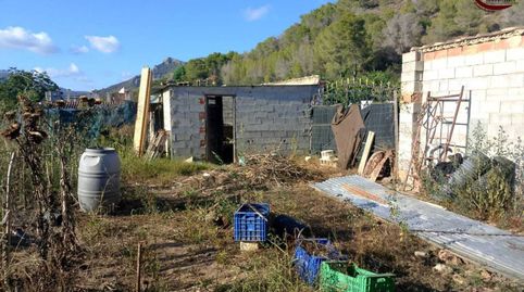 Casa para reformar con gran terreno en Palma de Gandía Marxuquera, Camino de Covanegra, imatge 4