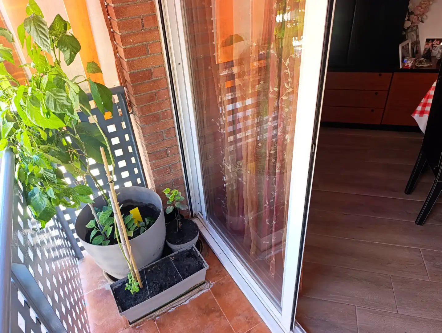 Appartement avec terrasse à vendre à Calella, imagen 5