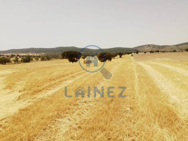 Terreno residencial en Venta en Valsequillo