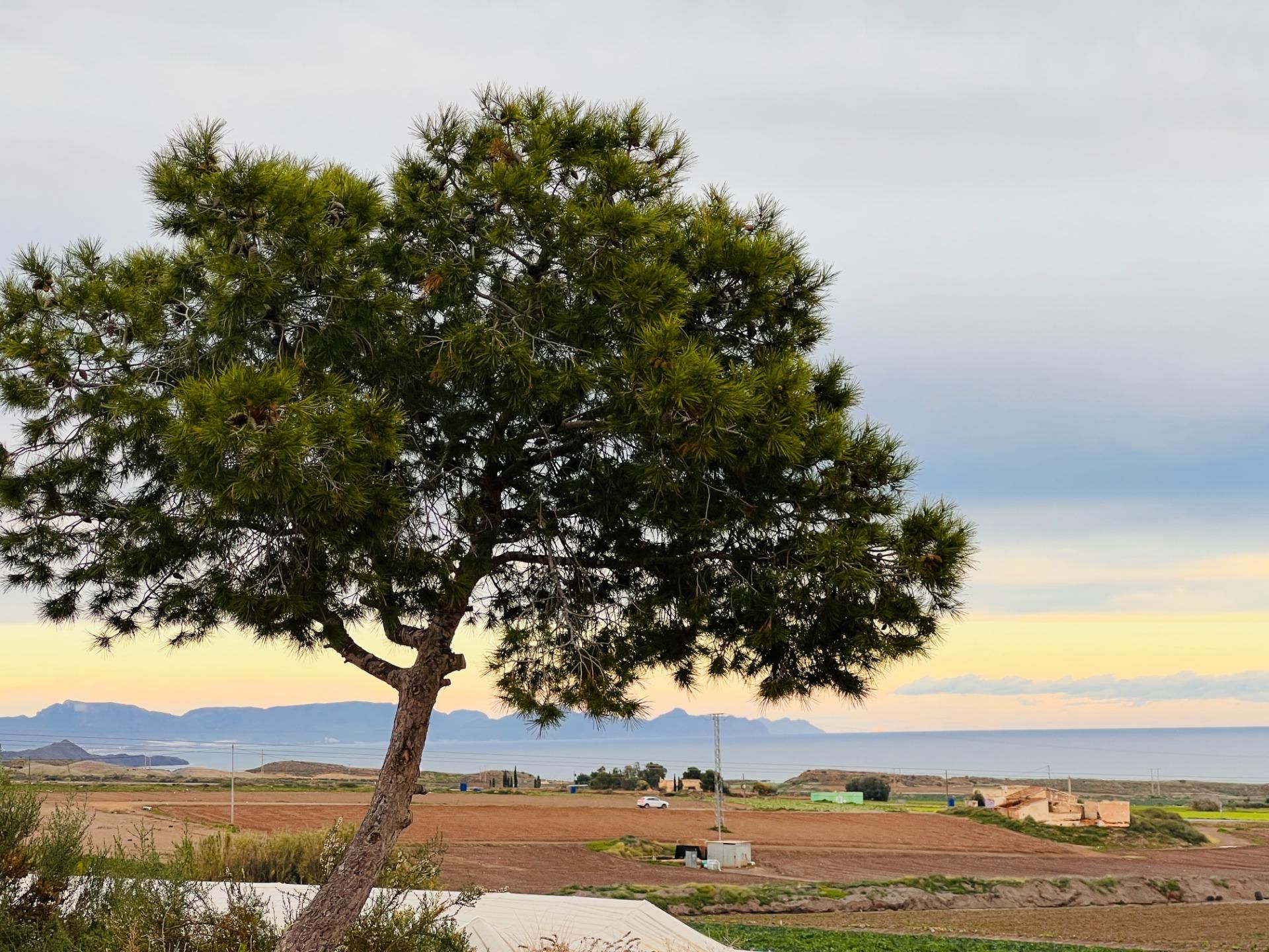 Vista exterior de Casa o chalet en venta en Águilas