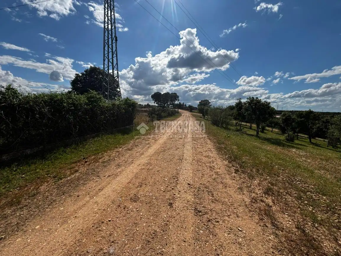 Finca rústica en venta en Carretera de Sevilla - Los Montitos