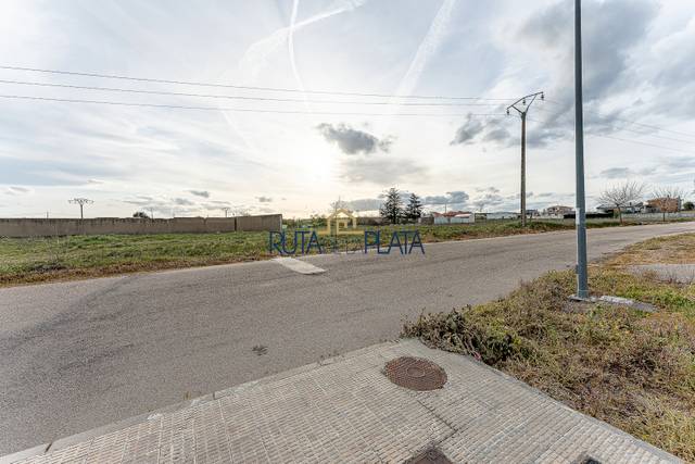 Terreno residencial en Venta en Calle Avedillo, 2 en Roales