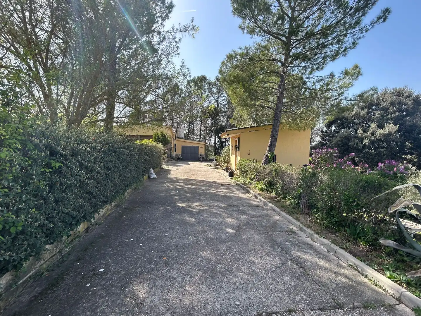 Vista exterior de Finca rústica en venta en Almoguera con Jardín privado y Piscina