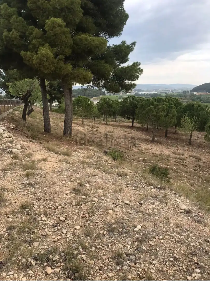 Finca rústica en venda a Carretera de Castellet, 114, L'Arboç