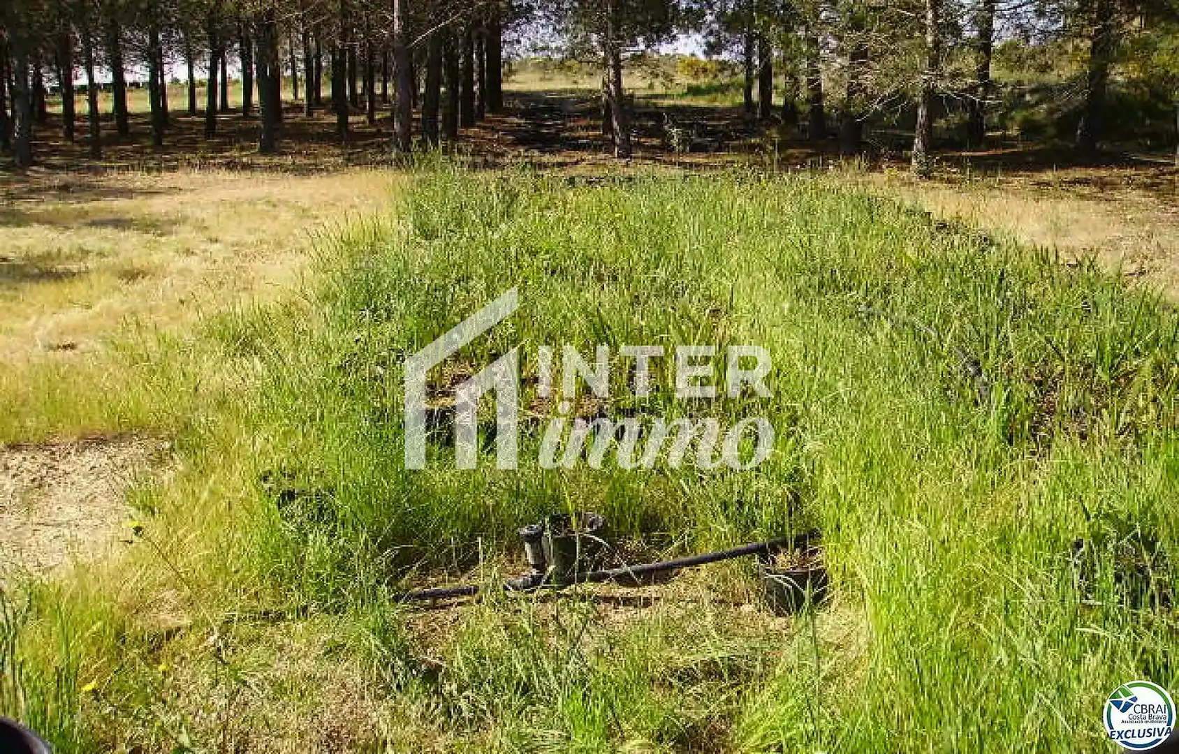Terreny residencial en venda a Polígono Butaros 181, imagen 5