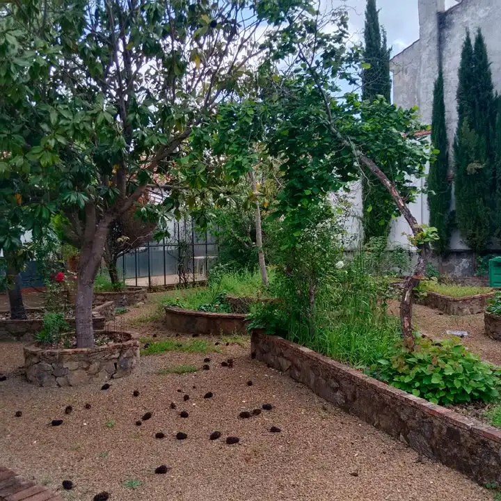 Casa o xalet en venda en Los Marines