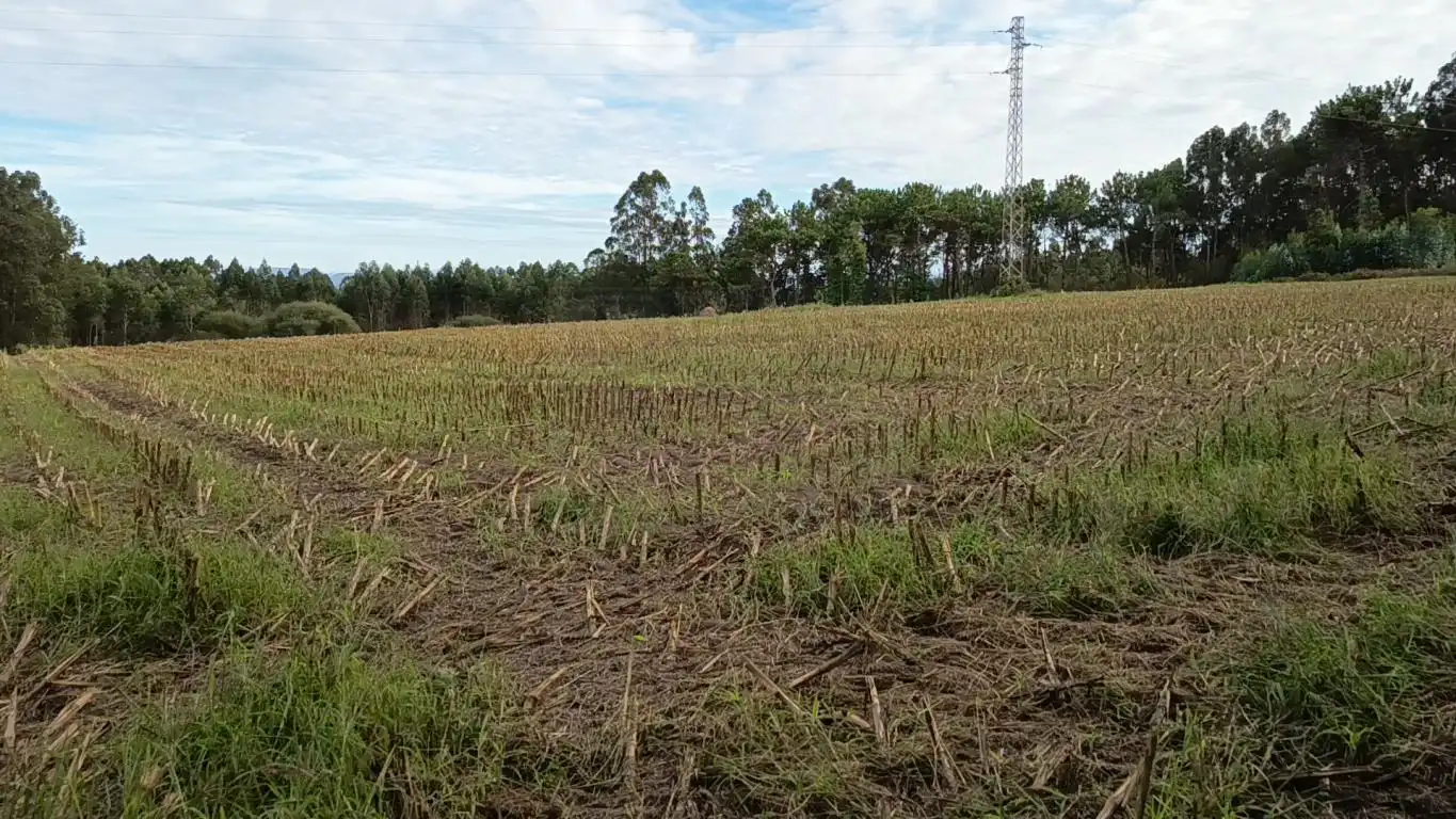 Terreno rústico en venta en Aldea Cabañas, imagen 16