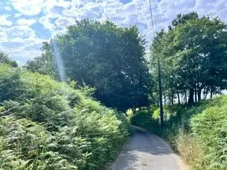 Lands and plots for sale in Santa María de Getxo, imagen 7