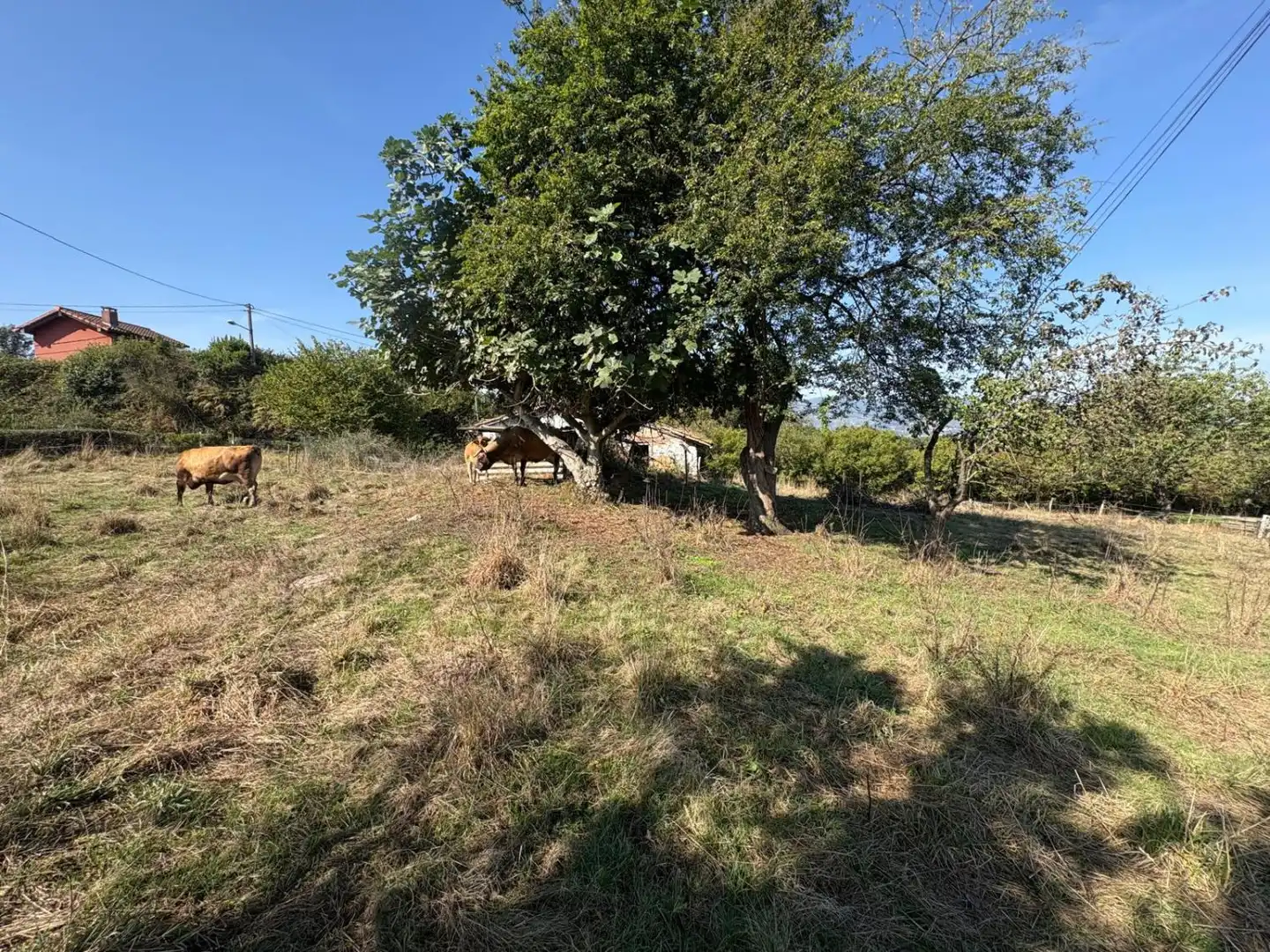 Casa en venta en Viella - Granda - Meres, imagen 4