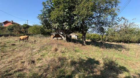 Photo 4 of House or chalet for sale in Viella - Granda - Meres, Asturias