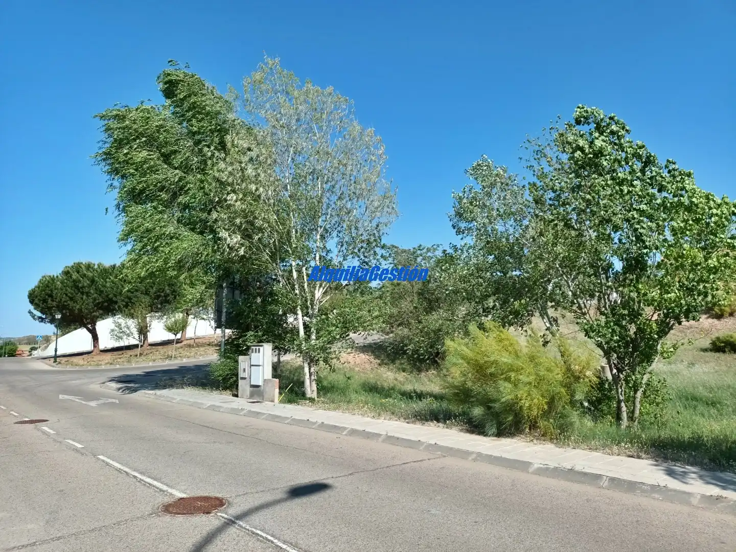 Terreny residencial en venda a Tórtola de Henares, imagen 4